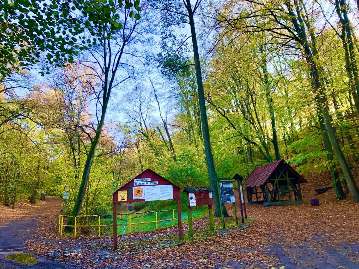 Slupski Premium Panoramic Apartment: Adults-only Urban Retreat